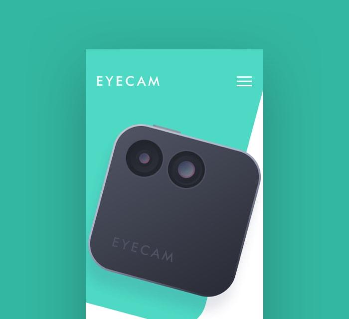 Screenshot of the Eyecam project